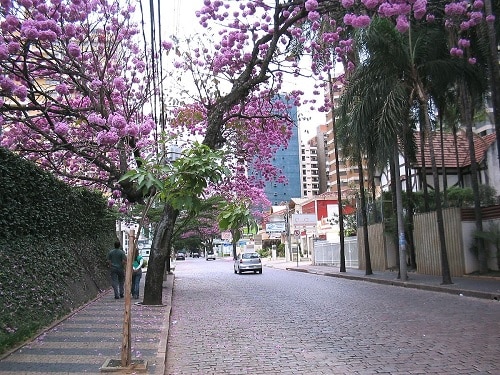 Caça Vazamento em Cambuí Campinas